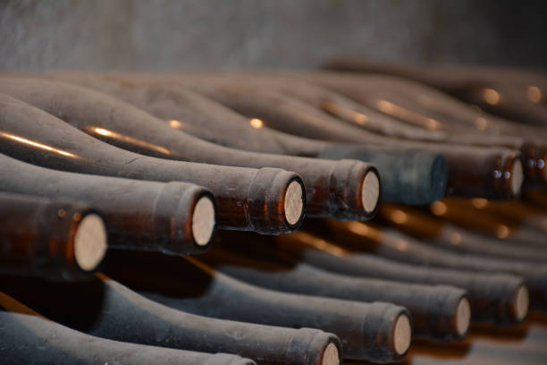 Very old wine bottles stored in a cellar and covered with dust.
