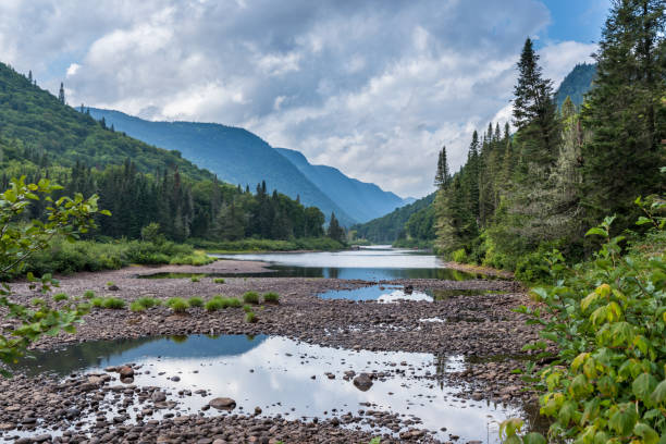 Spring View of Northern River