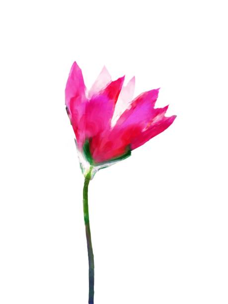 istock Red tulip watercolor painting on a white background. 1199778078