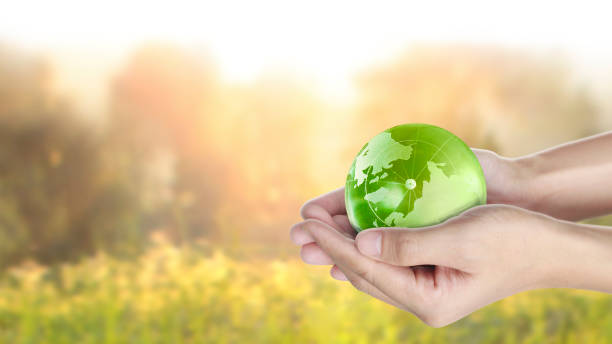 istock Globe ,earth in human hand. Earth image provided by Nasa 1199778444