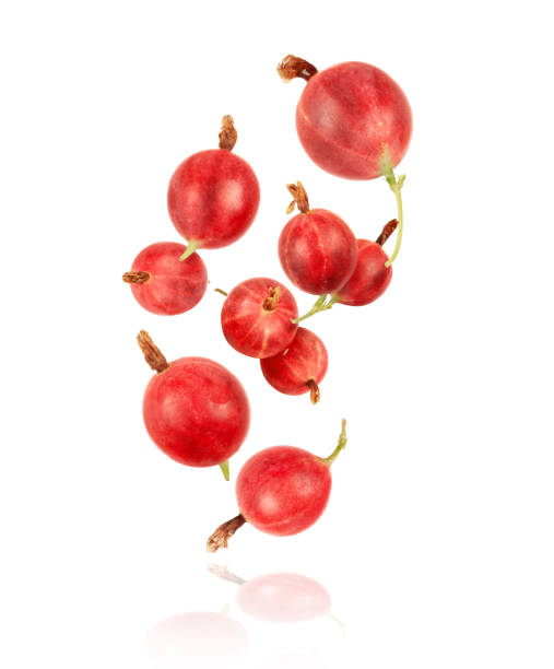 istock Gooseberry in the air, isolated on a white background 1199778660