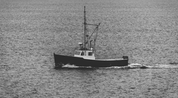 istock Fishing Boat Heading Home 1199782482