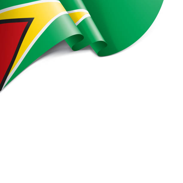 guyana flagge, vektor-illustration auf weißem hintergrund - flag of guyana stock-grafiken, -clipart, -cartoons und -symbole