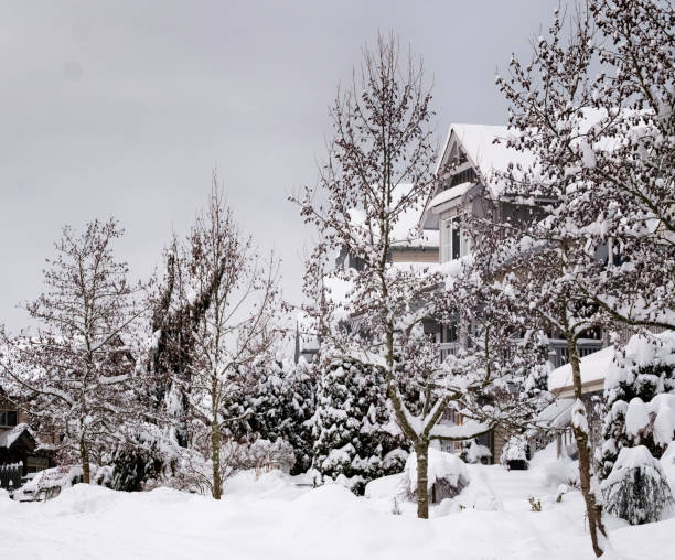 istock Winter landscape trees , winter background with snow flakes. 1199804675