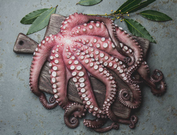 istock Raw fresh octopus on wooden table with laurel. Top view 1199812190