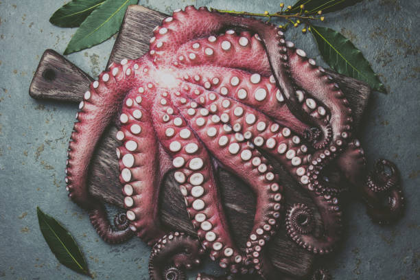 istock Raw fresh octopus on wooden table with laurel. Top view 1199812191
