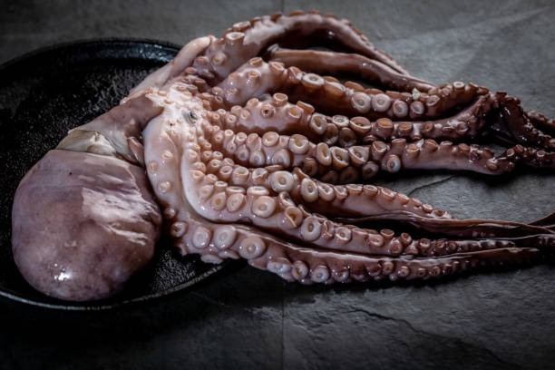 istock Whole fresh raw octopus on black plate. slate background 1199812197