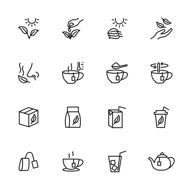 illustrazioni stock, clip art, cartoni animati e icone di tendenza di set di icone di linea di elaborazione e servizio del tè - tè raccolto