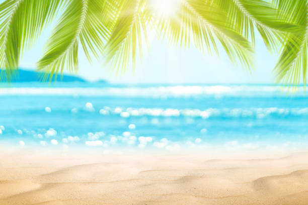 istock Blur beautiful nature green palm leaf on tropical beach with bokeh sun light wave abstract background. 1199816621