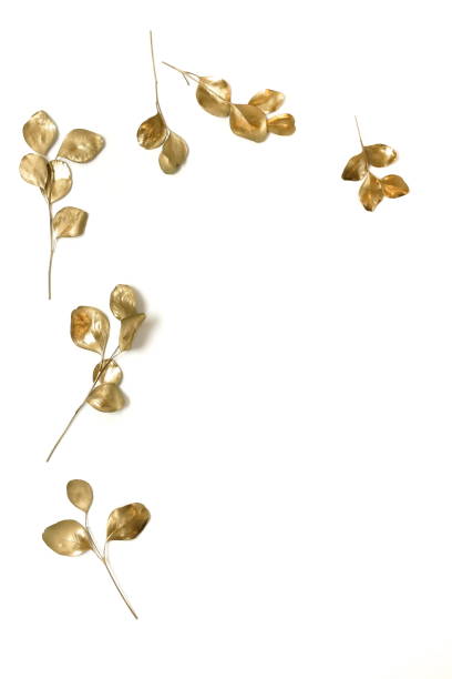 istock Golden eucalyptus leaves frame mock up isolated on white  background top view, flat lay, copy space. Greetings floral minimal card. 1199819577