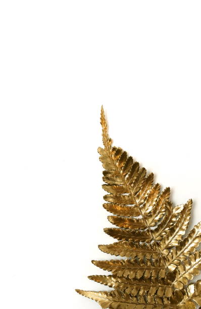 istock Gold leaf plant isolated on a white background. top view. copy space. floral card.abstract. 1199819693