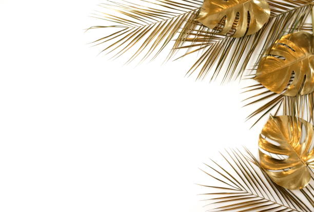 istock Gold palm and monstera leaves plant pattern frame isolated on a white background. top view. copy space. abstract. 1199820440