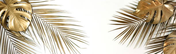 istock Gold palm and monstera leaves plant pattern frame isolated on a white background long banner. top view. copy space. abstract. 1199820614