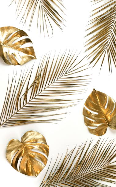 istock Gold palm and monstera leaves plant pattern isolated on a white background. top view. copy space. abstract. 1199821908