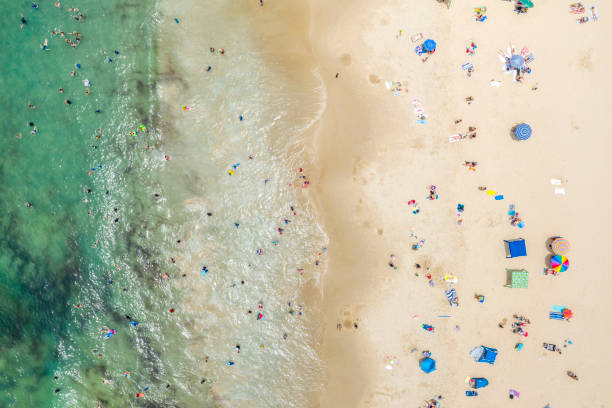 istock Kings Beach, Sunshine Coast, Queensland, Australia 1199824338