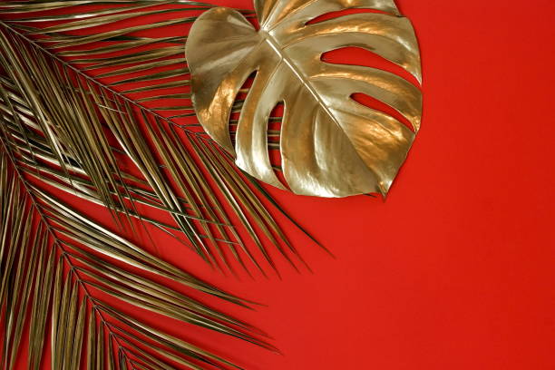 istock Gold leaves plant tropical monstera and palm pattern frame on a red background. top view.abstract. 1199825291