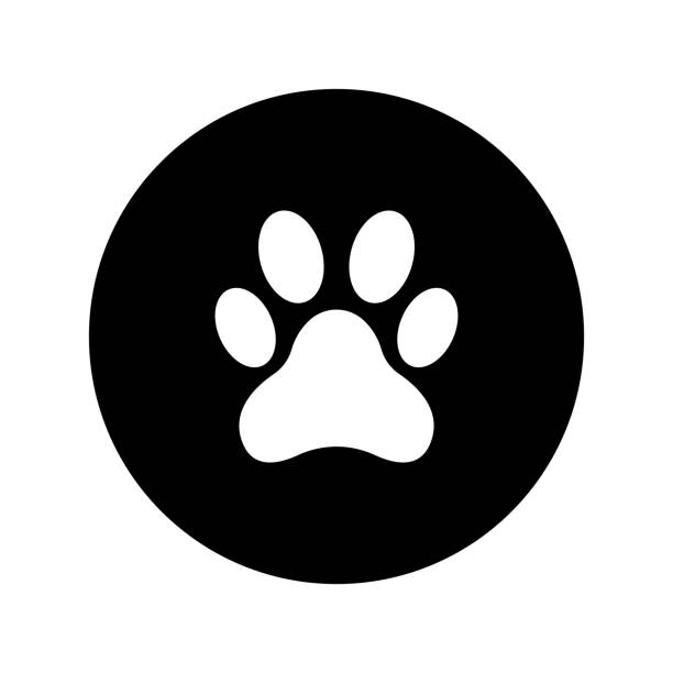 동물 발 인쇄 아이콘 벡터 - paw print animal track dirt track stock illustrations