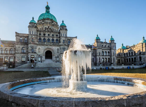 istock Frozen fountain on the lawn 1199830300