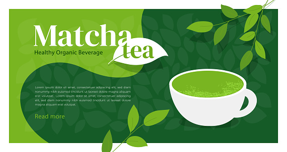 Cup of healthy organic beverage matcha tea. Illustration of Japanese drink made from green powder. Branches of tea plant with leaves. Macha sign design. Background, template for menu, web page, flyer