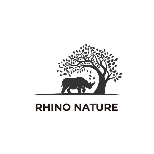 illustrations, cliparts, dessins animés et icônes de vector illustration rhino nature silhouette. - faune sauvage