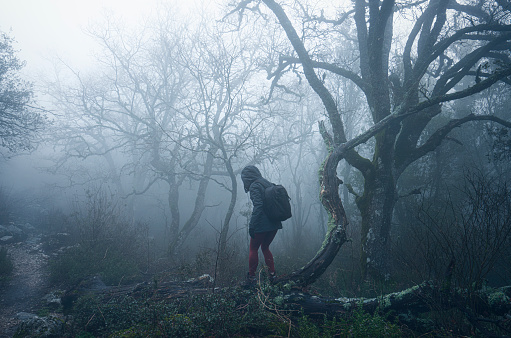 Young man walking on road with tree and melancholy fog. Czech morning landscape