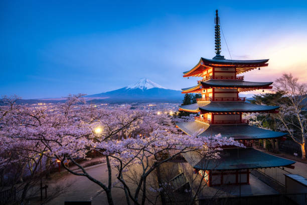 Chureito Pagoda and Mt. Fuji in the spring with cherry blossoms Fujiyoshida, Japan - April 16, 2019 : Chureito Pagoda and Mt. Fuji in the spring with cherry blossoms full bloom during twilight. Japan Landscape and nature travel, or historical building and sightseeing concept shinto photos stock pictures, royalty-free photos & images