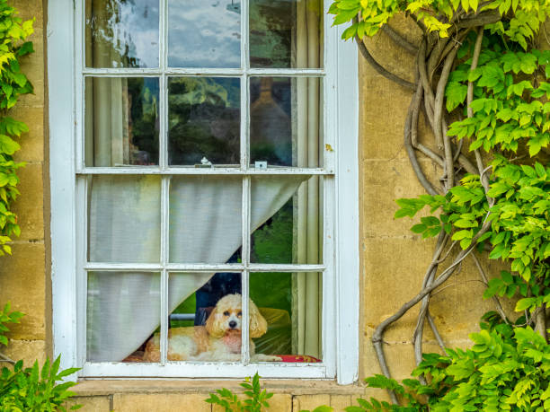 de regio cotswolds van het verenigd koninkrijk - cotswold stockfoto's en -beelden