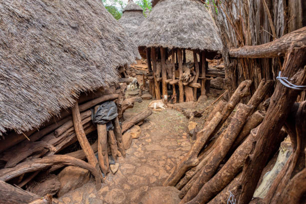 istock fantastic walled village tribes Konso, Ethiopia 1199835540