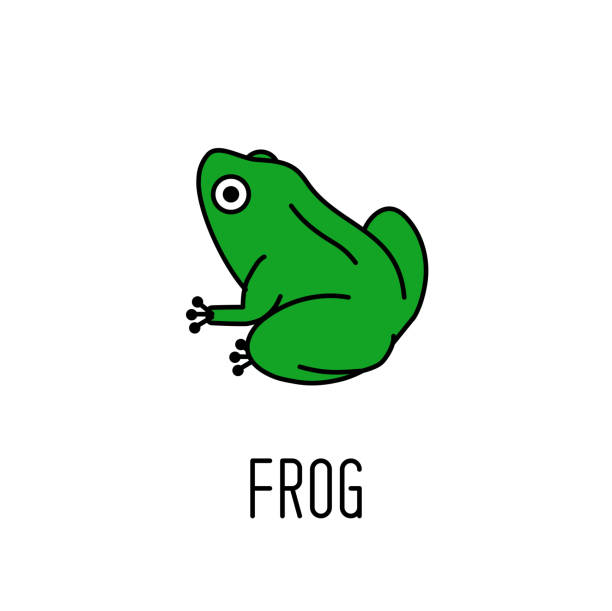 Green frog icon. Animal symbol vector art illustration