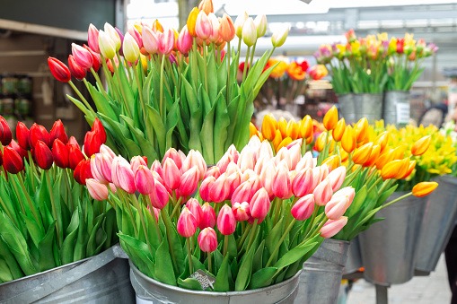 Bunches of beautiful tulip flowers for sale in a flower market. Colorful tulips. Florist service. Woman day - Image