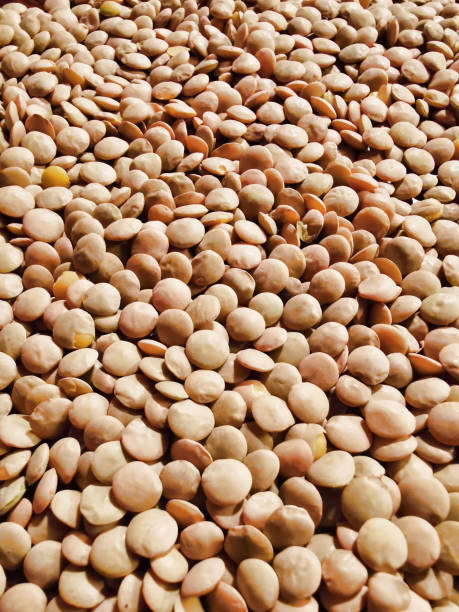 Natural organic lentils for healthy food stock photo