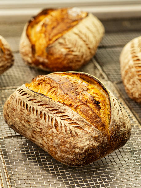 新鮮な職人のスードゥーパンローフ、パン、サワードウパン、トルコパン、グルテンフリー食品、 - soda bread bread brown bread loaf of bread ストックフォトと画像