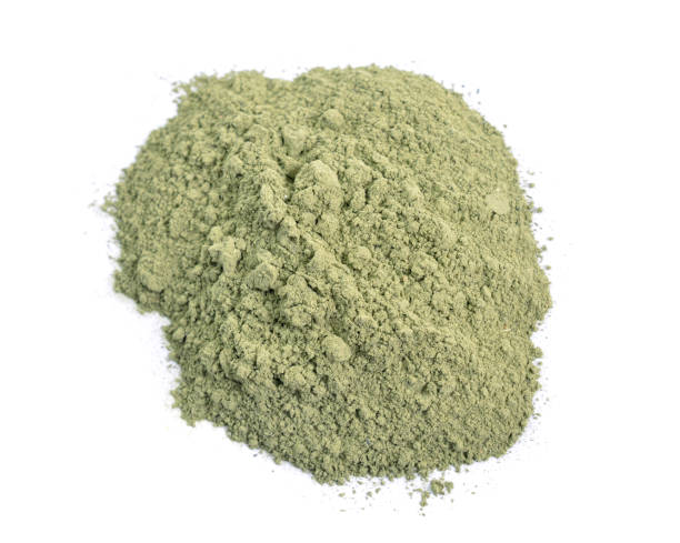 istock Powder from Indigofera tinctoria, also called true indigo Isolated 1199839780