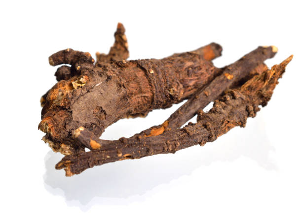 istock Ligusticum porteri, known as Osha. Dried roots. Isolated on white background 1199839974