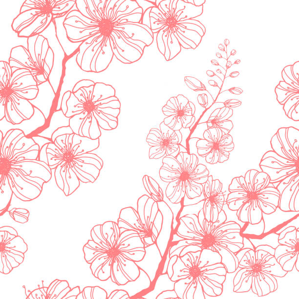 illustrazioni stock, clip art, cartoni animati e icone di tendenza di modello sgozzo vettoriale stock con ramo sakura rosa disegnato a mano. silhouette a inchiostro che fiorisce ciliegia. decorare in cucina giapponese per le vacanze primaverili, cancelleria, linea letto, carta da parati e tessuto. - oriental cherry tree