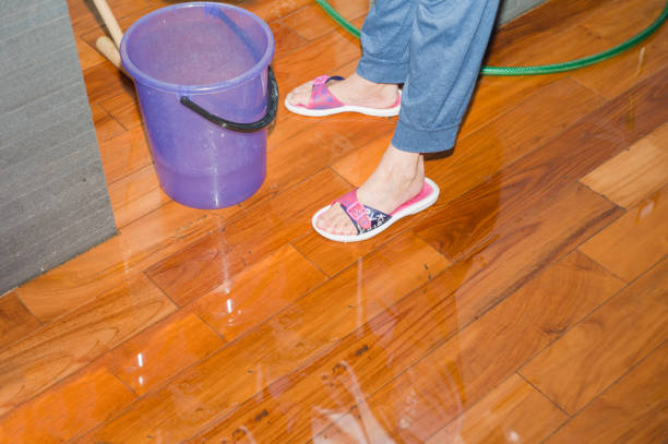 istock Woman cleaning floor 1199841221