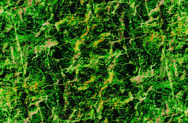 istock grunge  green  texture abstract background for design 1199842155