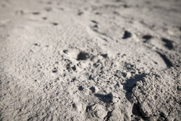 istock close up of sand texture on the beach 1199843719