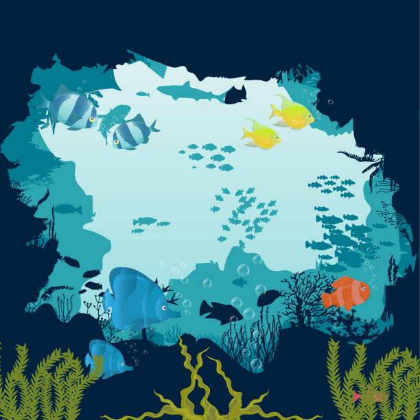 ilustrações de stock, clip art, desenhos animados e ícones de silhouette of fish and algae on a reef background. underwater scene of the ocean. deep blue water, coral reef and underwater plants. beautiful underwater scene; vector landscape with a reef. - underwater abstract coral seaweed