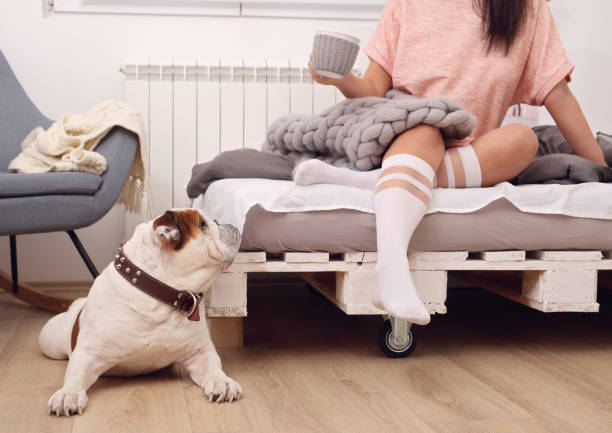 istock Cozy Woman covered with warm soft merino wool blanket drinking coffee in bed,playing with her dog. Relax, comfort lifestyle 1199846507