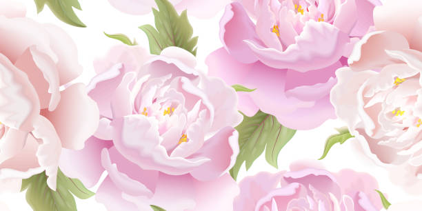 nahtloses blumenmuster mit pfingstrose. - seamless flower paper rose stock-grafiken, -clipart, -cartoons und -symbole