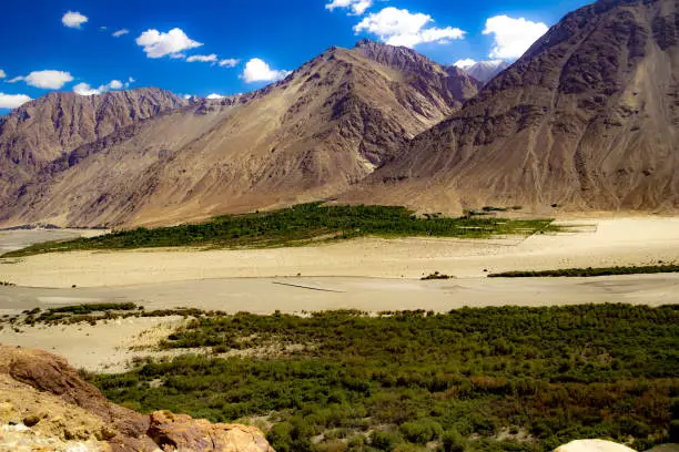 Photo of green sub himalayan vegetation below High dynamic range image of barren mountain in a desert with river in ladakh, Jammu and Kashmir, India