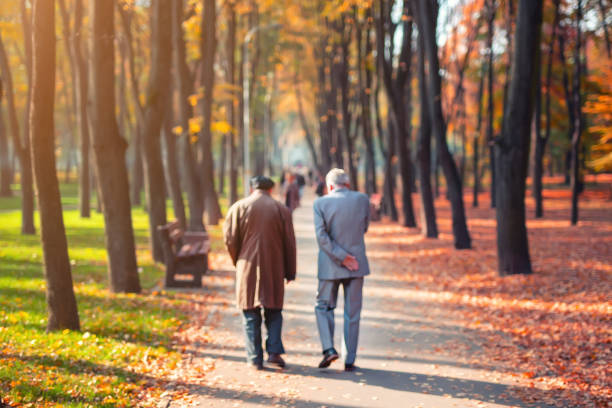 deux amis aînés se promenant le long du beau parc coloré de ville d'automne. paire de personnes de vieillesse parlant pendant la promenade à la belle vallée multicolore d'arbre d'automne. concept de retraite et de retraite. floue - senior adult photograph photography family tree photos et images de collection