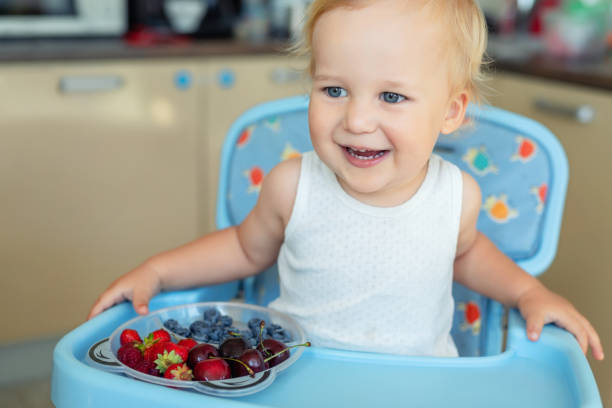 Adorable cute caucasian blond toddler boy enjoy tasting different seasonal fresh ripe organic berries sitting in highchair at home kitchen. Happy kid eating natural sweet healthy food as lunch snack. adorable lindo niño rubio caucásico disfrutar de la degustación de diferentes bayas orgánicas frescas maduras de temporada sentado en la trona en la cocina casera. niño feliz comiendo comida saludable dulce natural como bocadillo de almuerzo