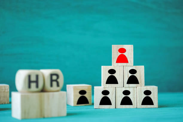 istock Concept Human resources search block wooden on background 1199858373