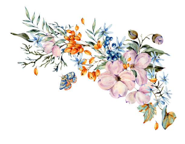 illustrazioni stock, clip art, cartoni animati e icone di tendenza di delicato bouquet acquerello con fiori rosa, azzurri, bacche blu e arancioni, ramoscelli, foglie, boccioli. - 3502