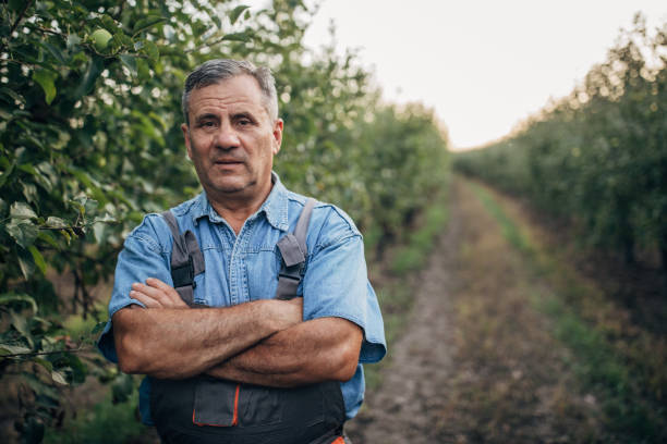 istock One old man standing on the plum orchard 1199863662
