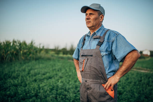 istock Old man standing in the field 1199864242