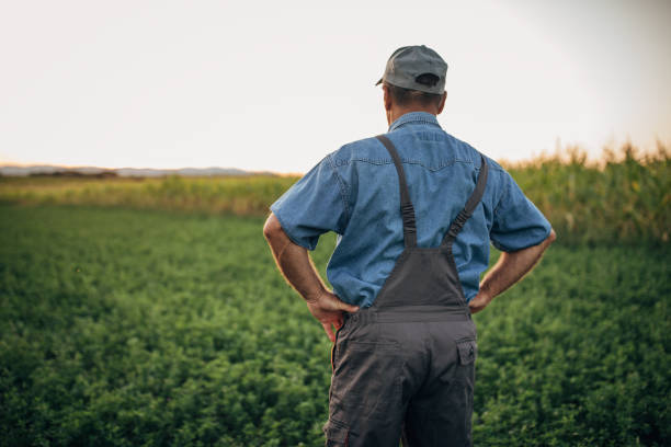 istock Senior man standing in the field 1199864302