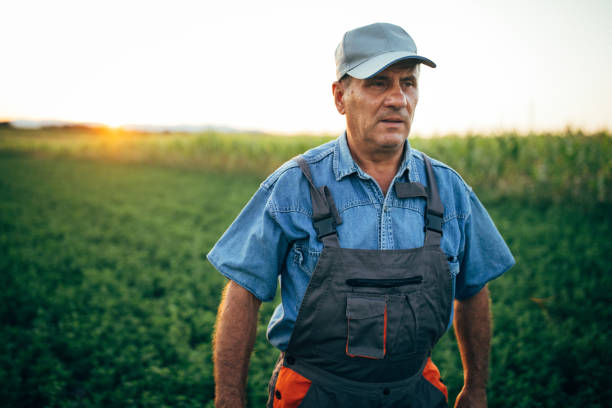 istock Old man walking in the field 1199864530
